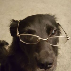 Meet your Posher, Joseph